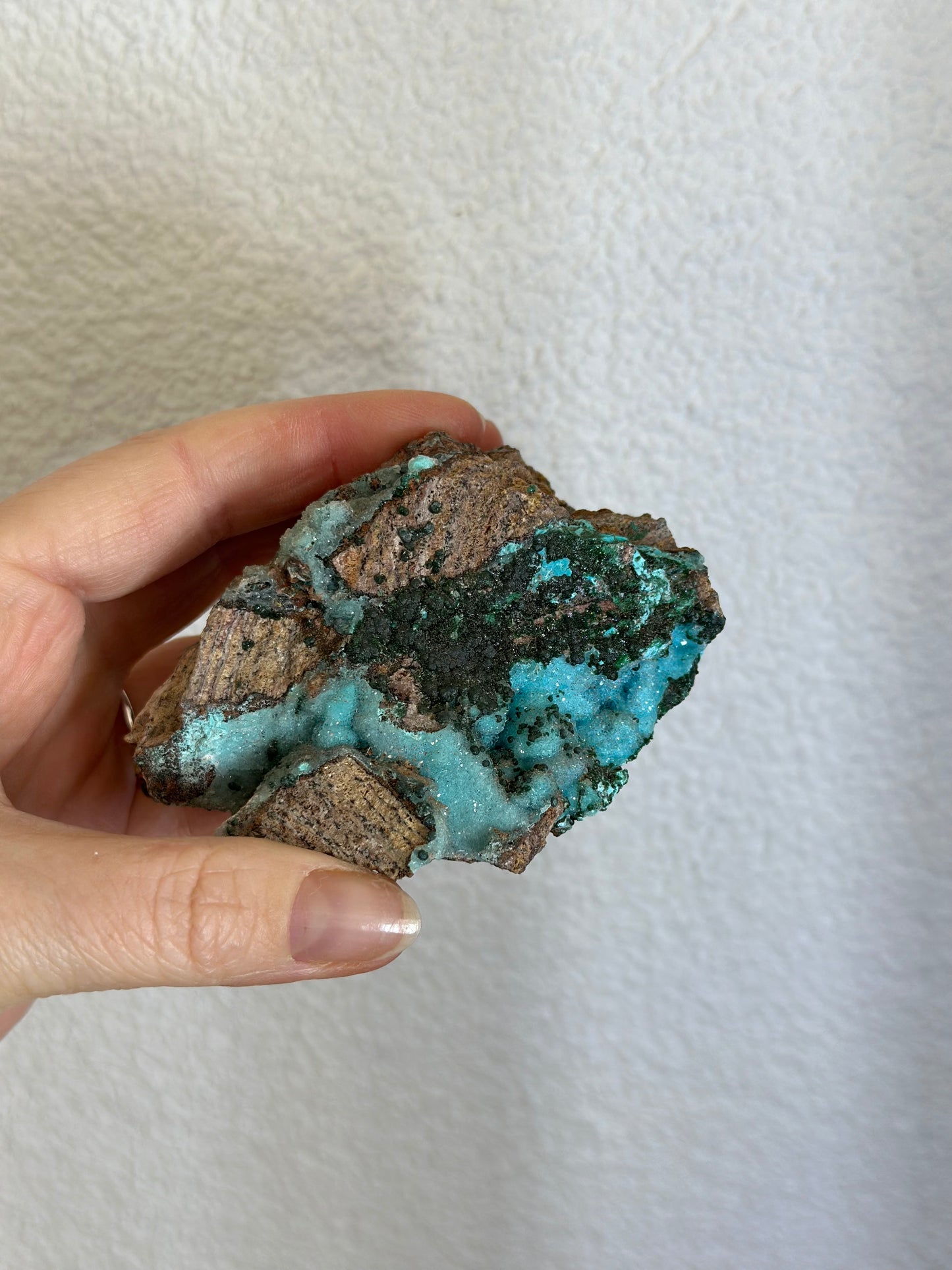 Mallacolla ruw blauw