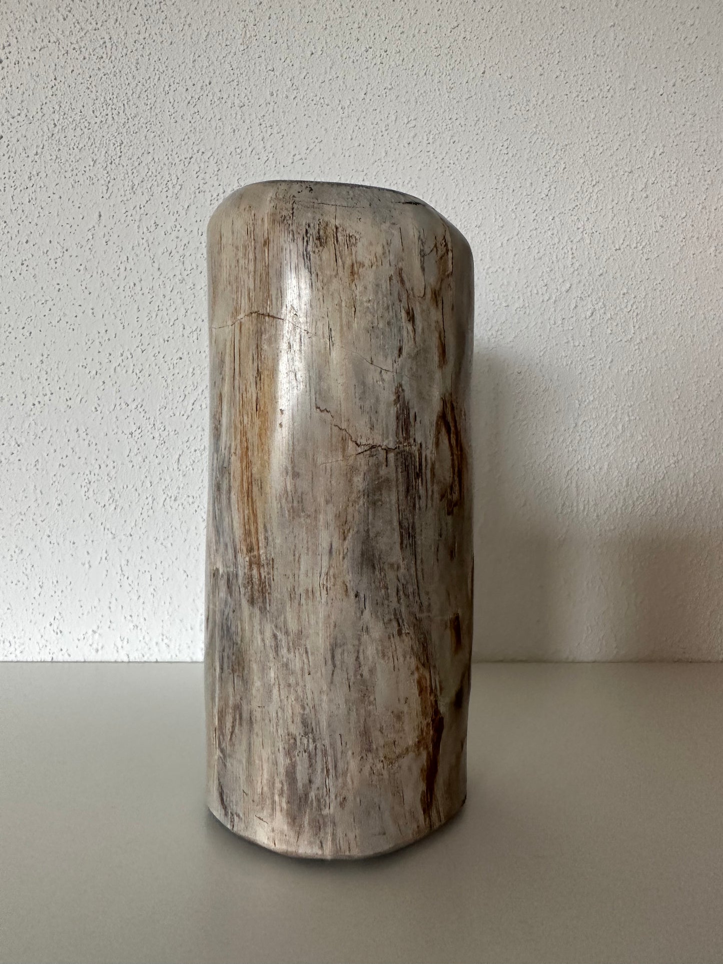 Versteend hout