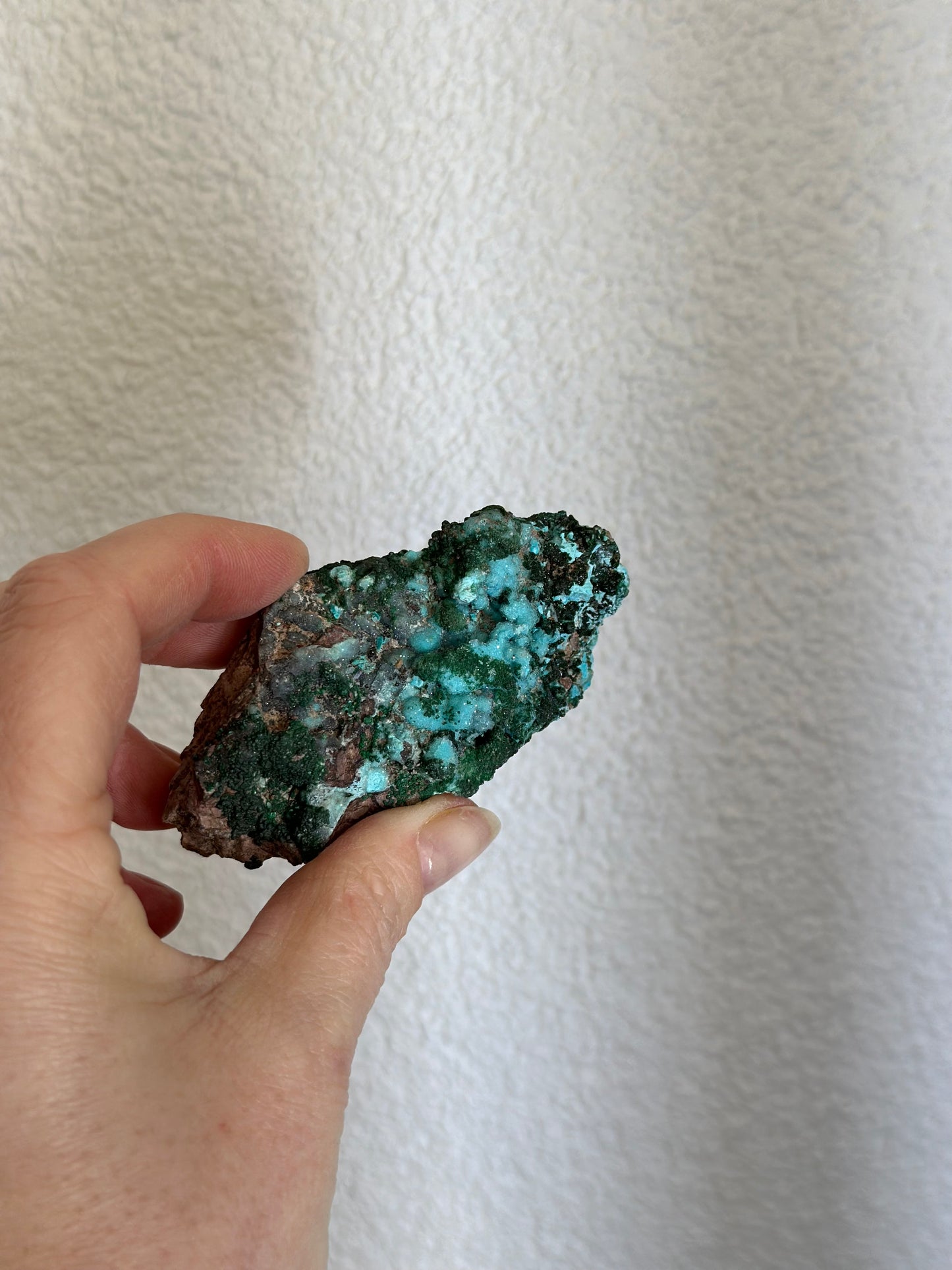 Mallacolla ruw blauw