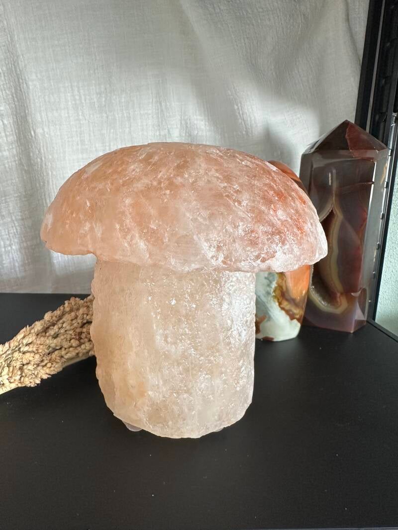 Lamp zoutsteen Paddenstoel