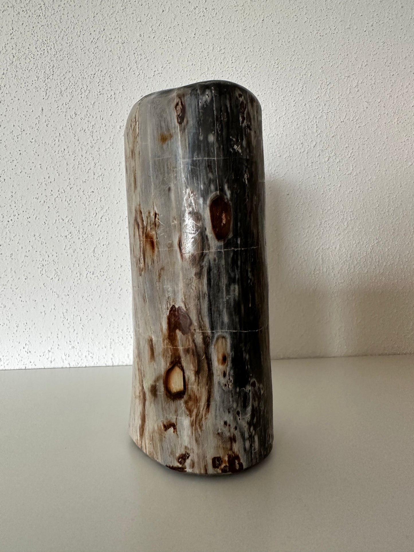 Versteend hout