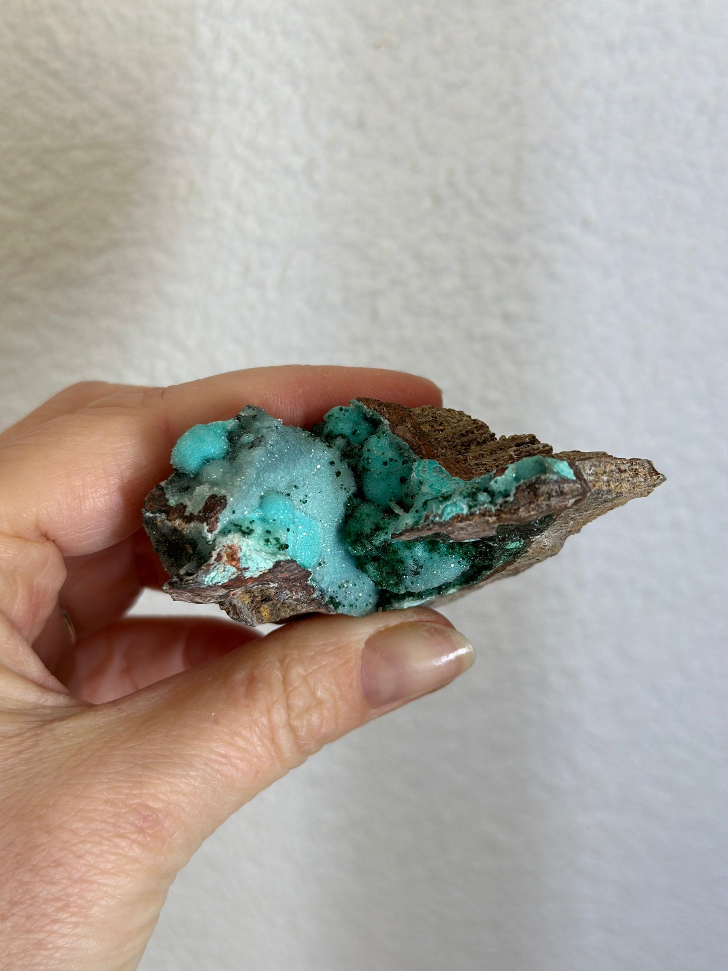 Mallacolla ruw blauw