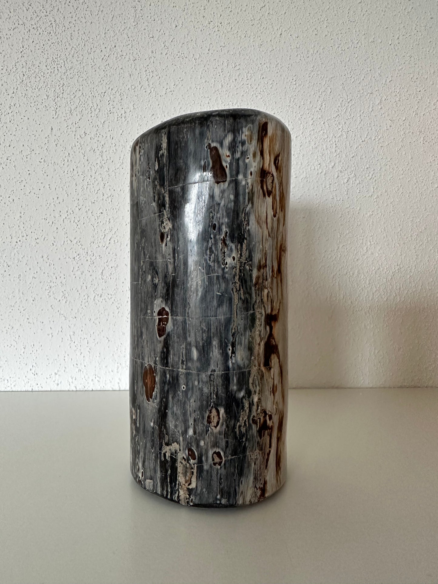 Versteend hout