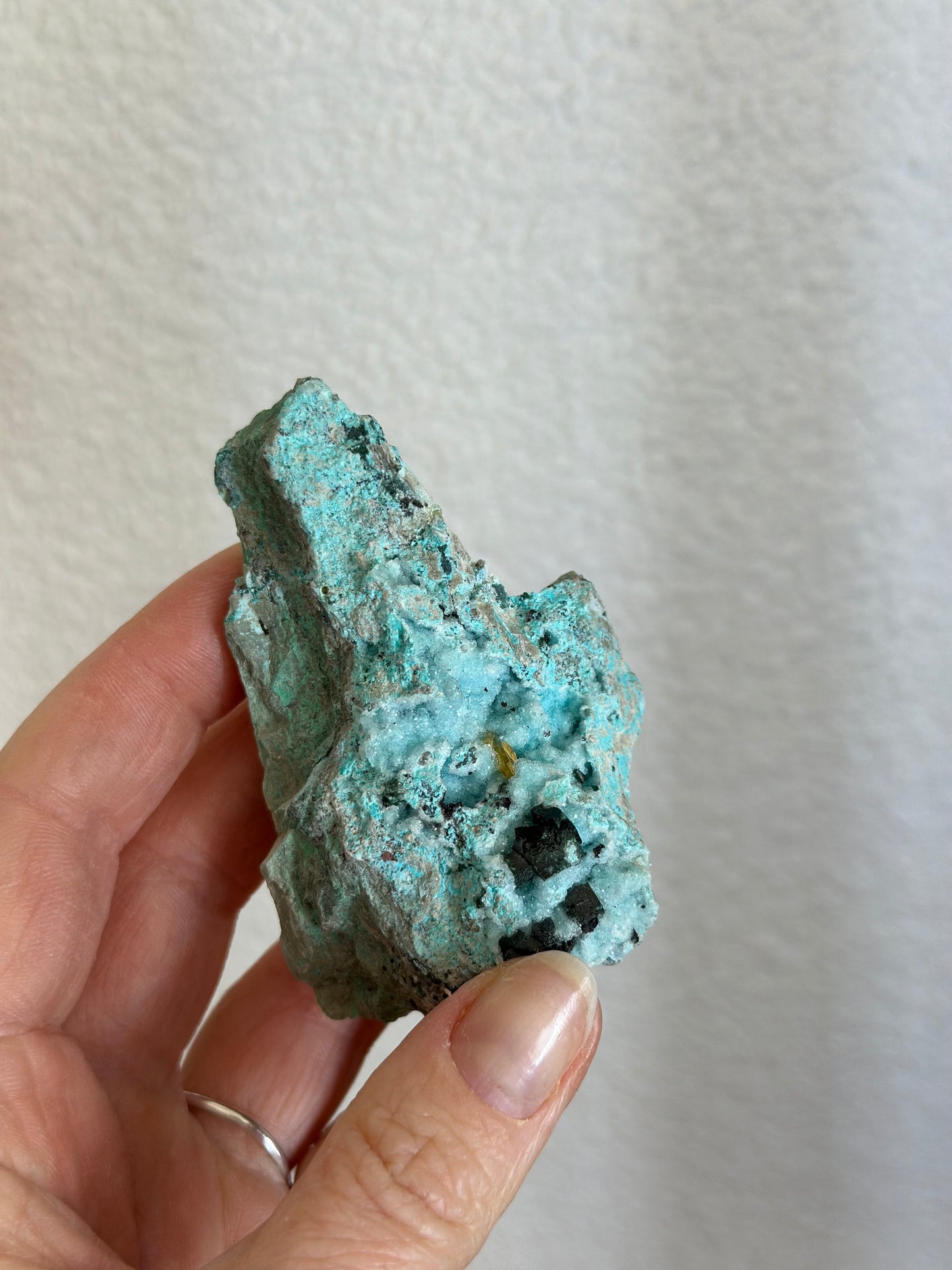 Mallacolla ruw blauw