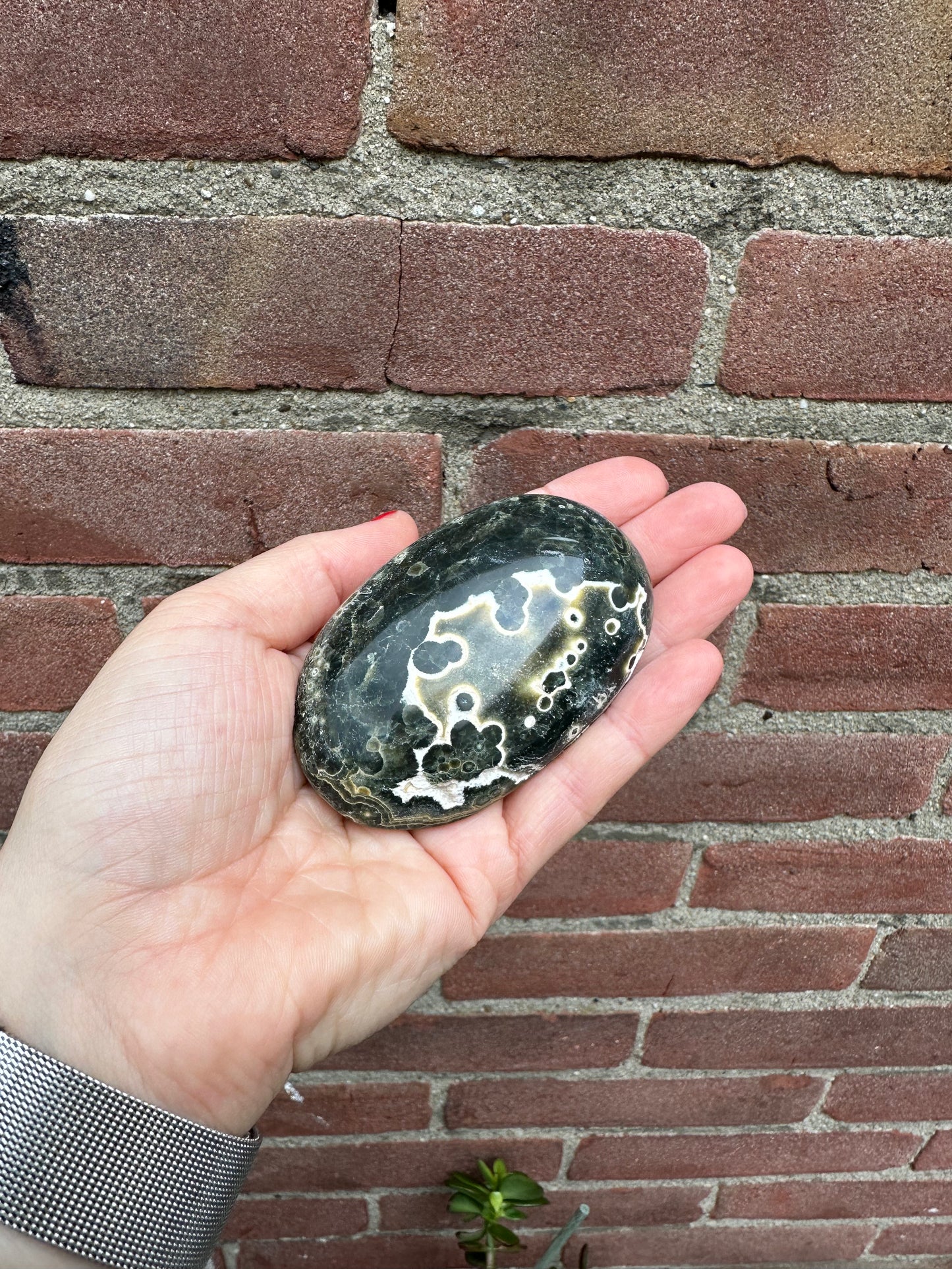 Oceaanjaspis palmsteen groen