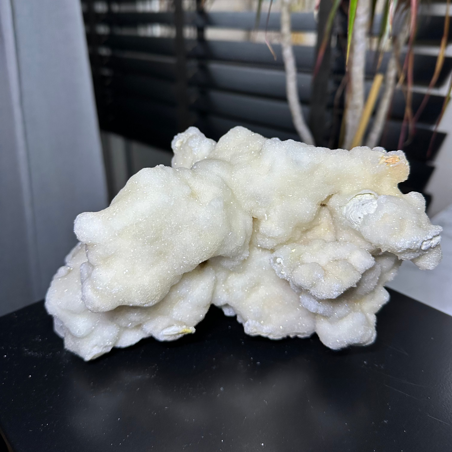 calciet uit china