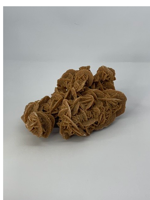 Woestijnroos ruw bruin