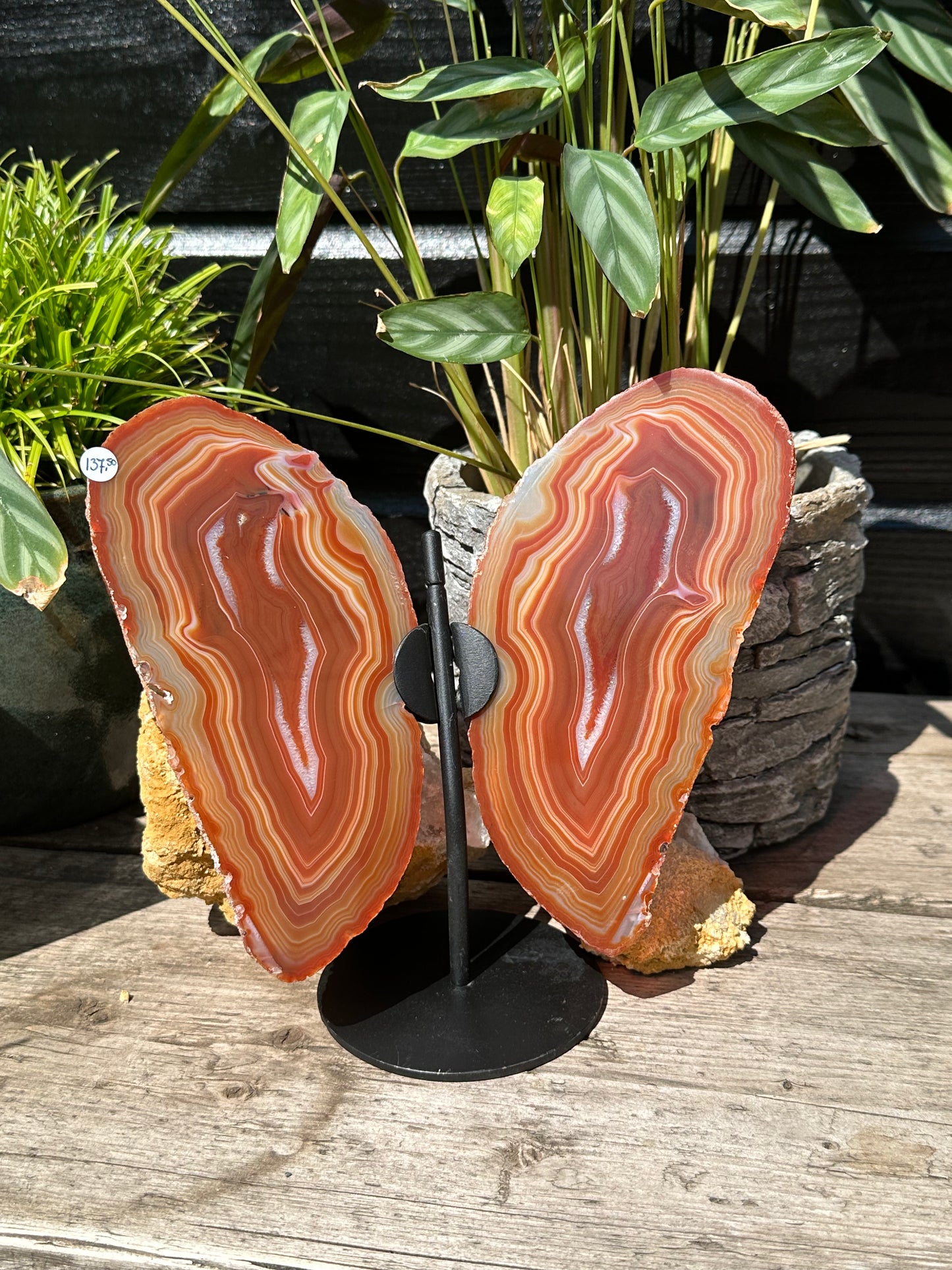 Agaat vlinder oranje/ rood op standaard 2