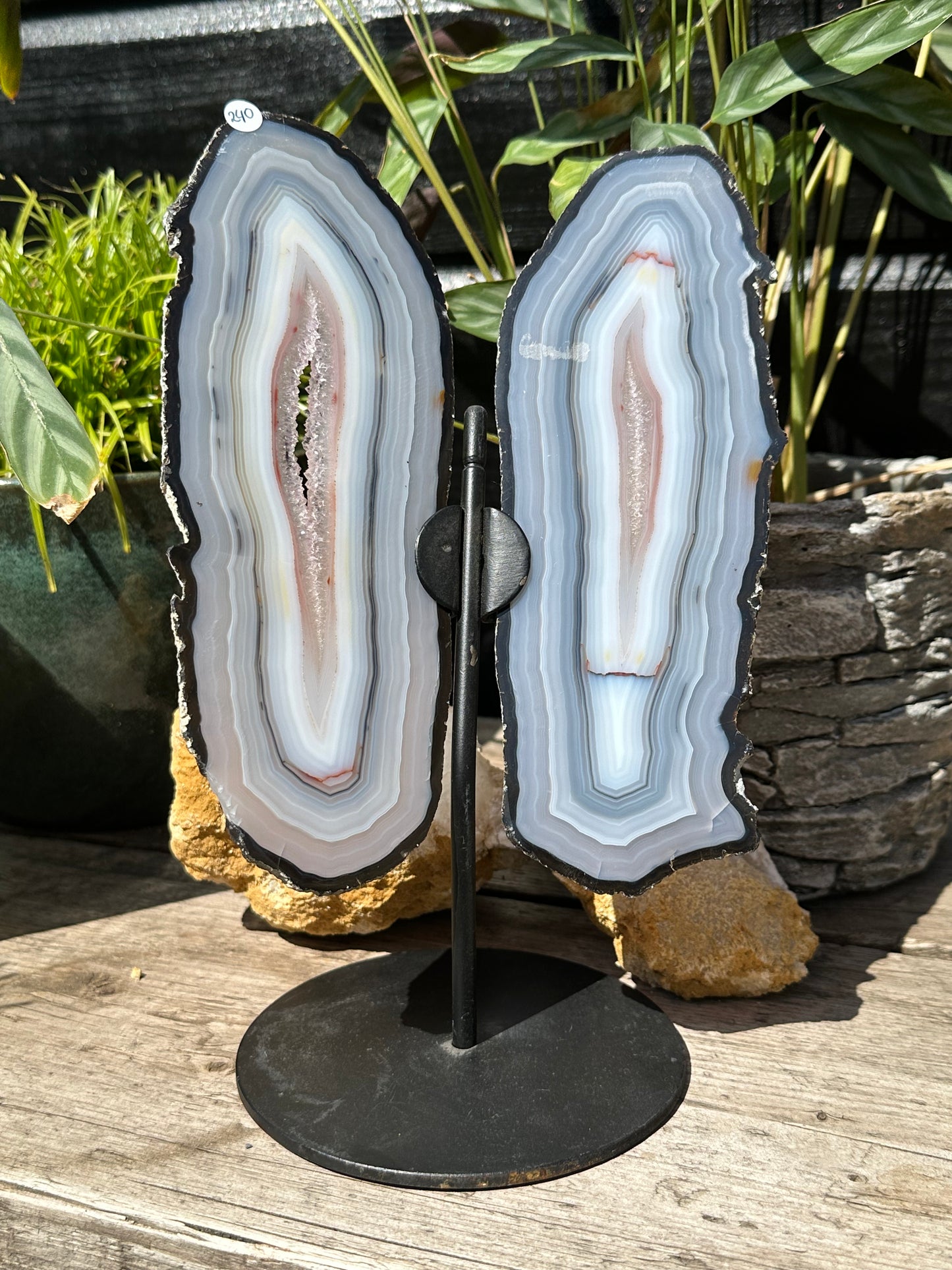 Agaat vlinder grijs met wit op standaard