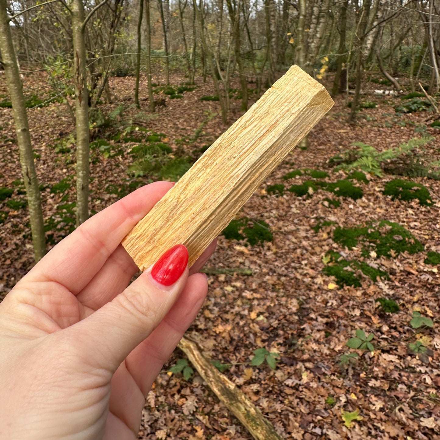 Palo Santo stick
