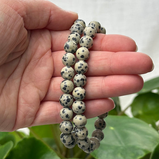 Dalmatier Jaspis armband