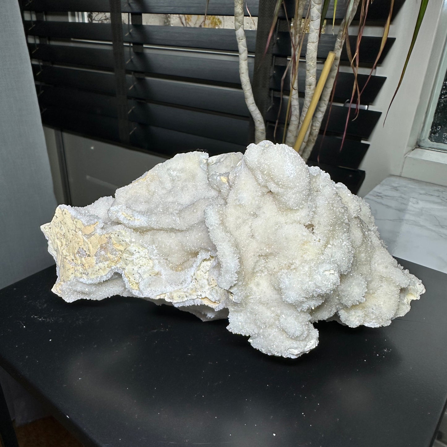 calciet uit china