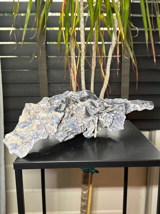 calciet uit china