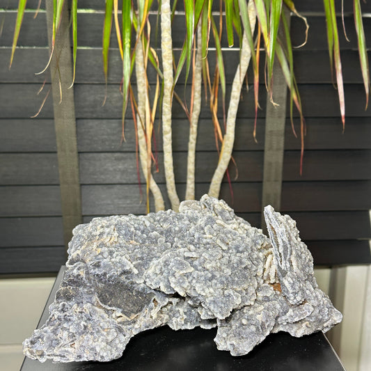 calciet uit china