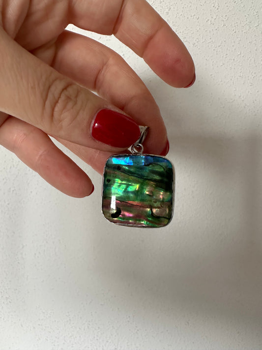 Hangertje paua
