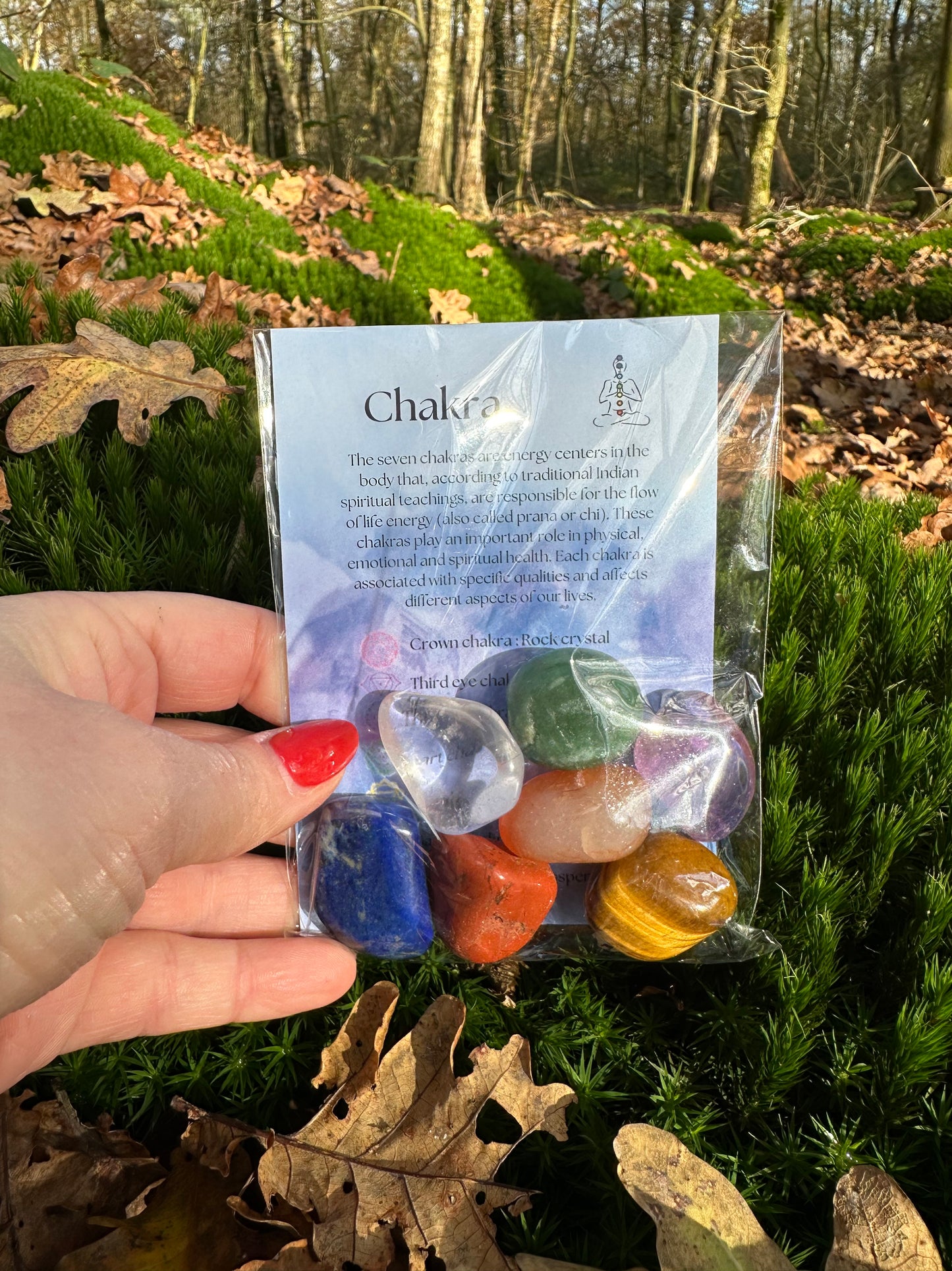 Setje Chakra